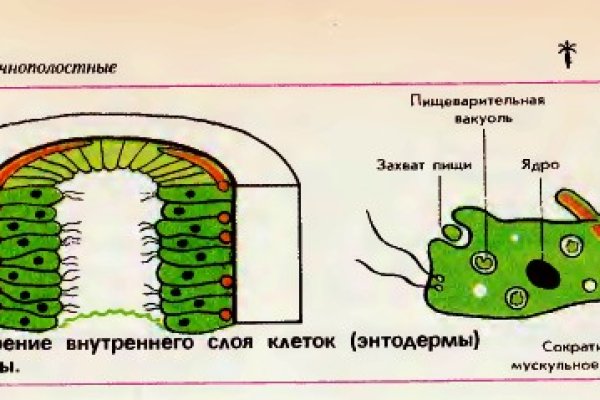 Официальная ссылка на кракен в тор