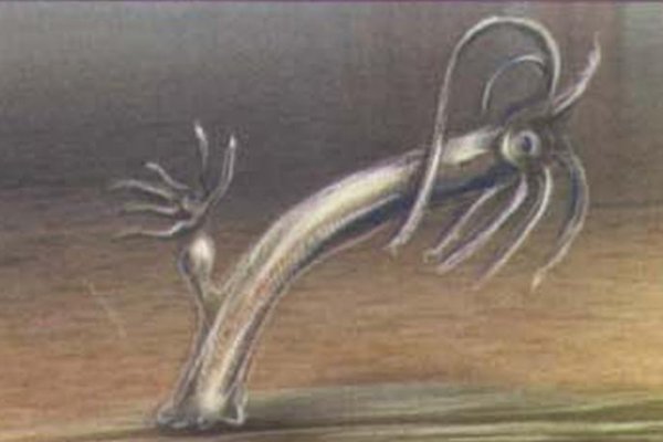 Kra29.cc