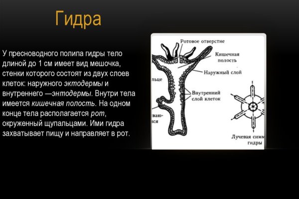 Кракен почему пользователь не найден