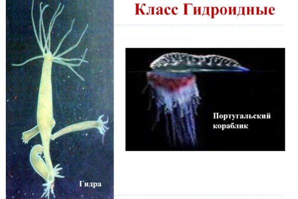 Кракен как попасть