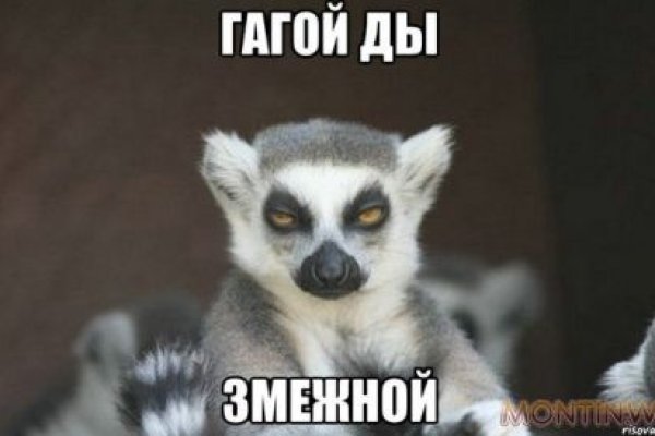 Кракен тор krakens13 at
