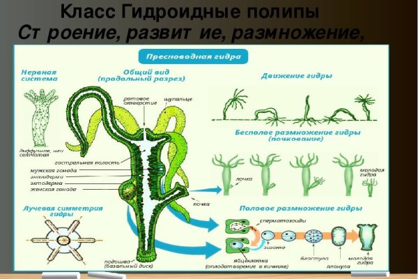 Кракен продает наркотики