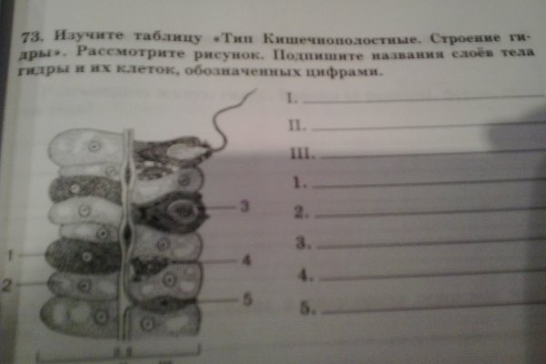 Ошибка на кракене