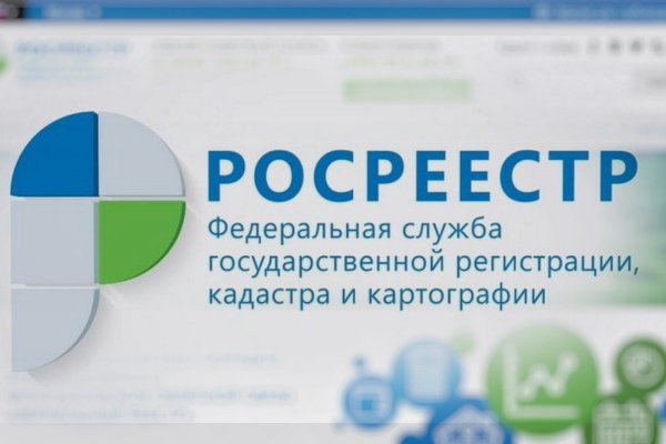 Как выводить деньги с кракена